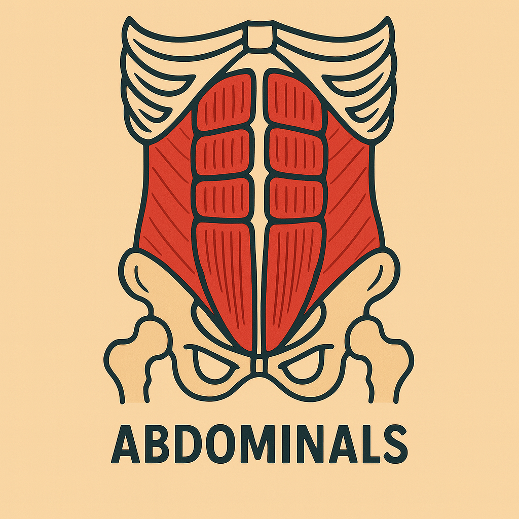 Home abdominals