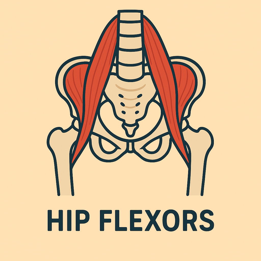Home hip flexors